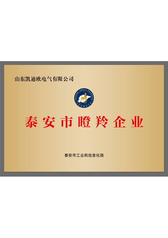 泰安市瞪羚企業(yè)